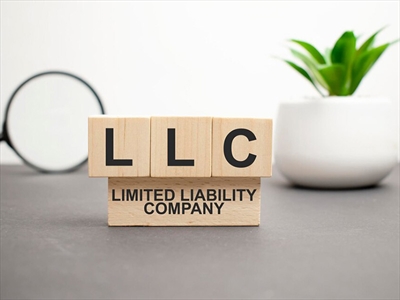 تأسيس الشركات