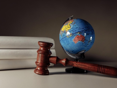 القضايا التجارية الدولية